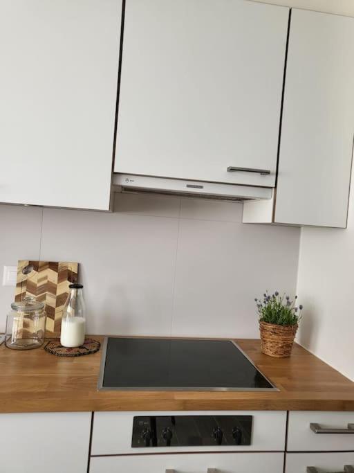 Al Ronchetto Apartment Riva San Vitale Ngoại thất bức ảnh